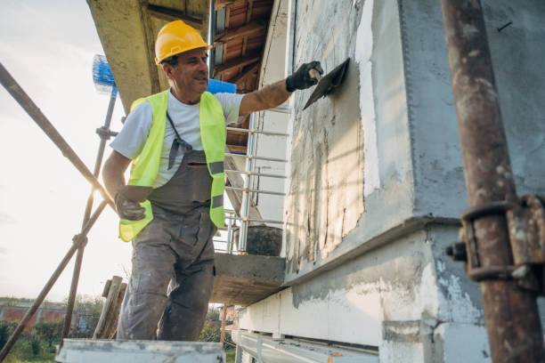 Best Attic Insulation Installation  in Fritch, TX